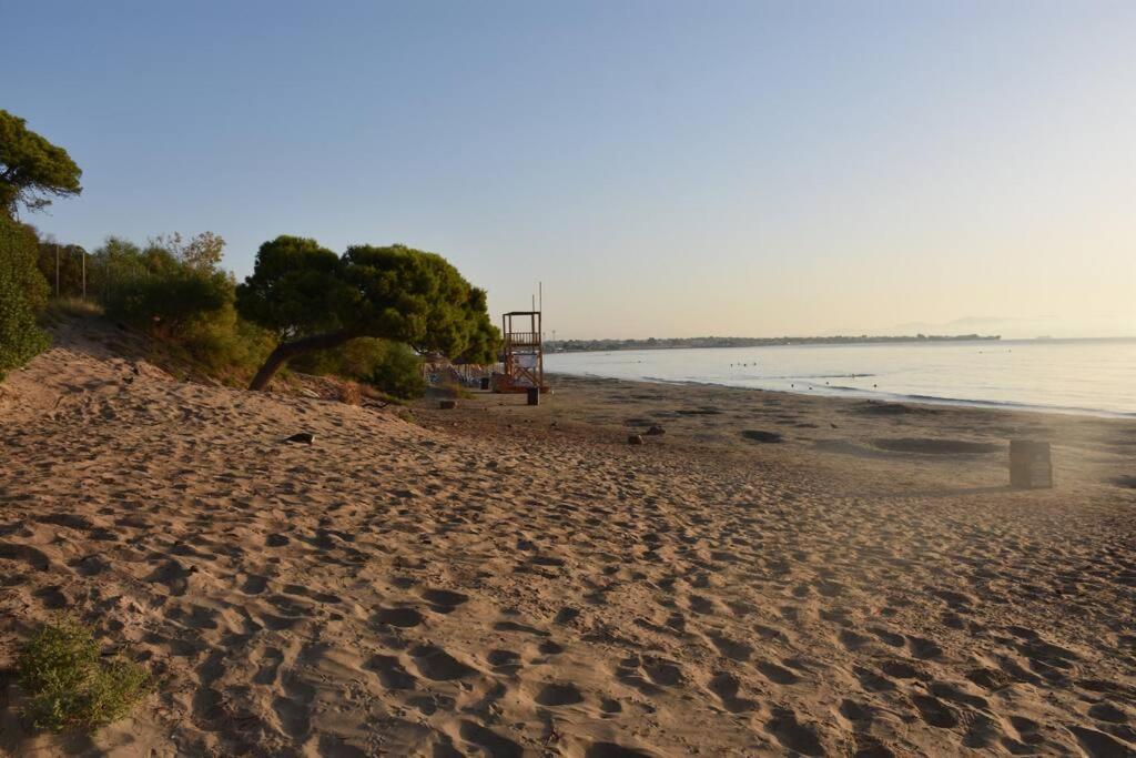ארטמידה Seashell Apartment -Near The Beach מראה חיצוני תמונה
